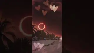 Motion leaf editing