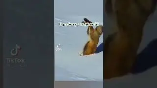 в работу с головой