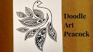 Peacock Doodle Art || Step by Step tutorial