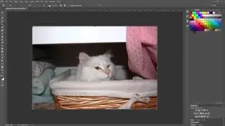 Straighten Tool in Photoshop