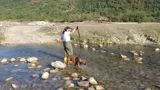 Немецкий боксер Харлюша путешествует. #germanboxer #funnydog #dog #Кутаиси