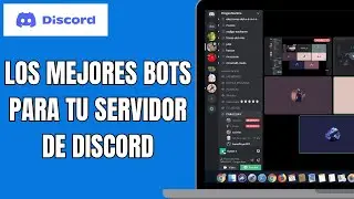 Los Mejores Bots Para Mejorar Tu Servidor De Discord
