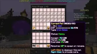 Hypixel Guide To The Pet System