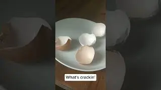 What's crackin'