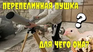 Простая ВЕЯЛКА для зерна своими руками. Очистка зерна