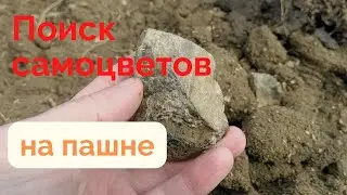 Поиск самоцветов на пашне