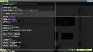 gdb&exploit trace