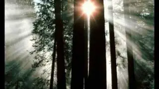 Abraham-Hicks ~ Annoying isn't It