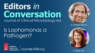 Is Lophomonas a Pathogen?