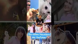 Sind das die süßesten #Haustiere von YouTube? #shorts