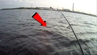 Рыбалка с ОПЫТНЫМ ГИДОМ . ЛОВЛЯ СПИННИНГОМ НА РЫБИНСКОМ ВОДОХРАНИЛИЩЕ