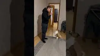 Счетовод 
