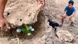 Unexpected Birds encountered near the forest
