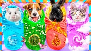 We Saved Four Elements Pets! Fire, Water, Air and Earth!