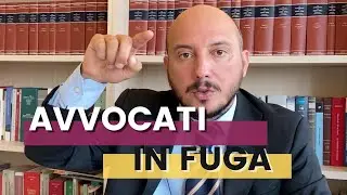 Avvocati in fuga