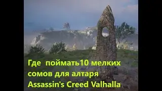 Где найти мелких сомов для алтаря   Assassin's Creed Valhalla