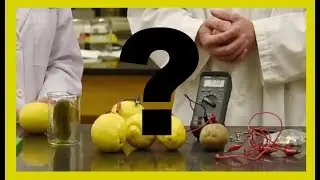 Do Lemon Batteries REALLY Work? | You May Be Surprised...