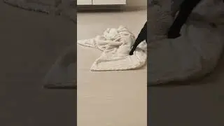 Привет от Белинского и Чернышевского! 