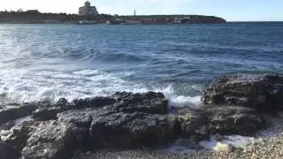 IMG 0463