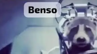 Pff nene lo siento, si