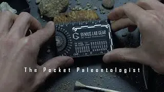 The Pocket Paleontologist - Field Reference Ruler for Fossil Hunting and Rock Hounding
