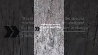 Thriving Through Change - Darwin's Evolutionary Secrets