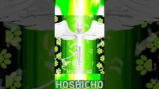 Celesticat transformation 🐈‍⬛🪽 MULTIVERSE Miraculous Ladybug 