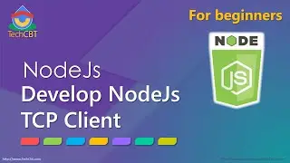 How to develop TCP Client (Network) application using NodeJs