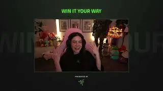 PaladinAmber's journey, tips for creators, and the most important equipment for new streamers