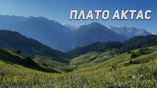 Плато Актас — Сад камней / Лесная сказка
