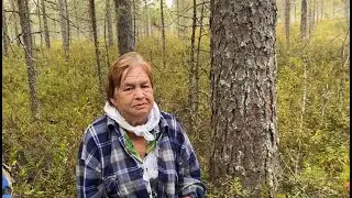 Почему в Шабалинском районе всё так печально