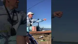 Полуденный зной — не помеха! Лёгкий спиннинг на Волге #shorts #norstream #окунь #рыбалка #perch