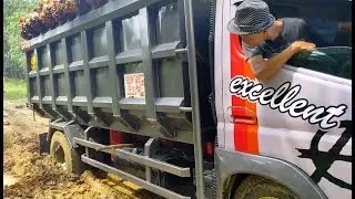 Truck sawit 3x terpuruk gara gara nyelamatin bumper