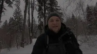 Двигаясь по лыжне в лесу...