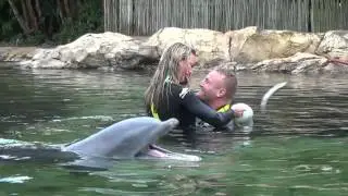 Tampa Bay Rays Alex Cobb Proposal Discovery Cove