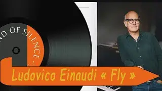 Ludovico Einaudi - Fly (cover)