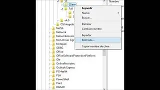 .NET 4.5 AUTOCAD ERROR AL INSTALAR