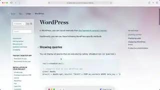 Ray For Wordpress