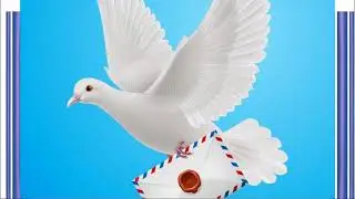 Шутим все шуточки! Знаете... Все дело в птицах... позитив)