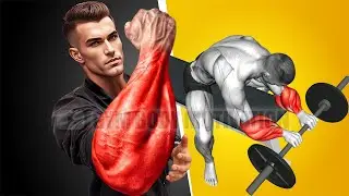 6 Most Effective Exercises for Bigger Forearms