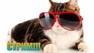 СТРИМ;!! Играю в игры взаимки ответы на вопросы!