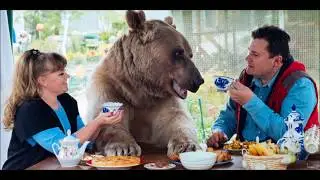 Defence Yourself From Bear Attack
