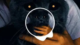 ТРЕК ОТ MEGAнастроения /// DIGITAL SLOW LINK \\\