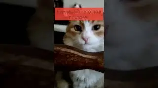 А вы уже поздравили с рождеством самых близких? #цитаты