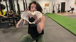 Understanding Shoulder Dystocia