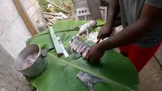 Catch, And Cook || Brown Stew Barracuda