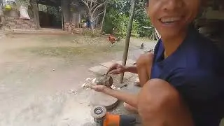 làm ná cao su chuẩn bị cho mùa cò về