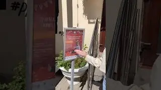 Крупнейшая выставка авторских мишек Тедди🧸СПБ