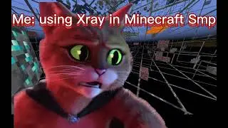 Pov: You used Xray in Minecraft Smp | Death Whistle Meme