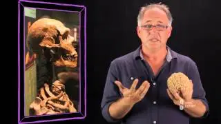 Free Becoming Human: Anthropology Course - Overview - Open2Study